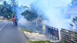 Diserang DBD Puluhan Warga Kaur Tumbang
