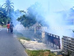 Diserang DBD Puluhan Warga Kaur Tumbang