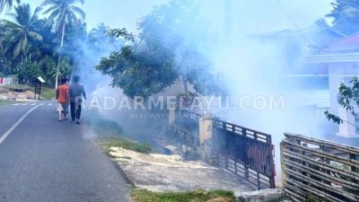 Diserang DBD Puluhan Warga Kaur Tumbang