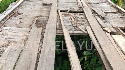 Miris! Jembatan Penghubung Desa Tanjung Aur – Desa Linau Rusak 20 Tahun Tak Tersentuh Perbaikan